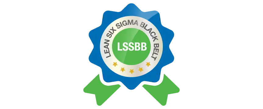 Lean Six Sigma Black Belt (LSSBB)